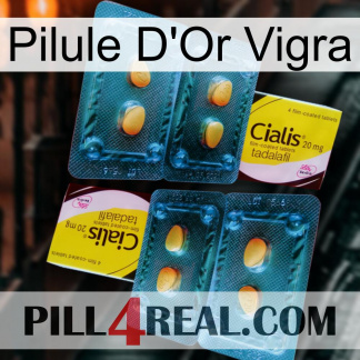Vigra Gold Pill cialis5